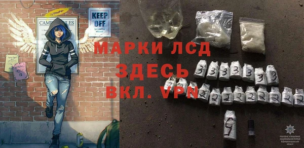 трава Магас
