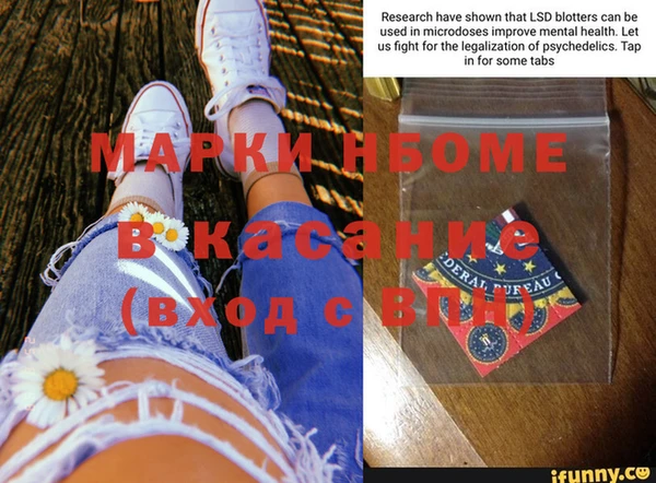 трава Магас