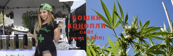 трава Магас