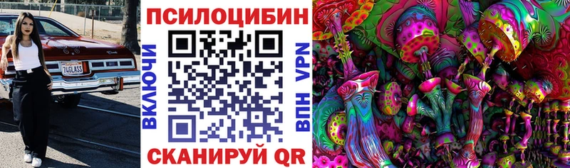 как найти закладки  Ясногорск  Псилоцибиновые грибы мицелий 