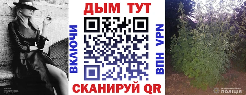 Шишки марихуана сатива  Ясногорск 